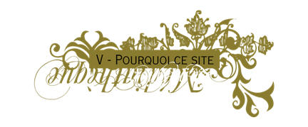 Pourquoi ce site?